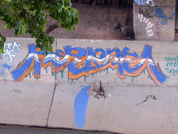 Gaffiti en Caracas laterales del Rio Guaire