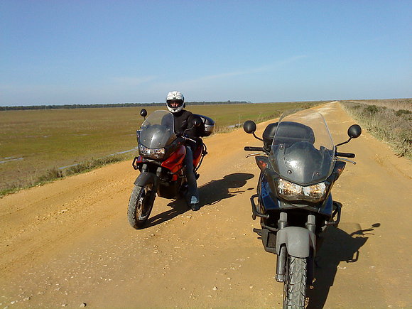 Miri y Chilo en el camino de plastico Do&ntilde;ana