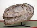 Mapusaurus roseae: Dinosaurio m&aacute;s temible del mund