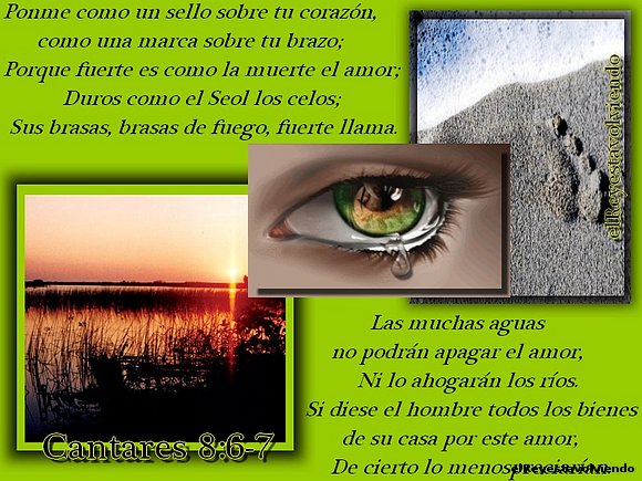 Cantares 8:6-7