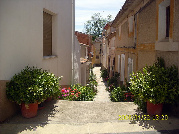 Travesia de Cocote con flores de Amparico