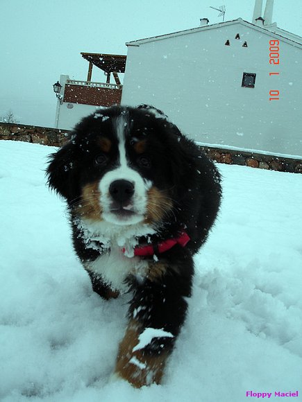 Disfrutando de la nieve
