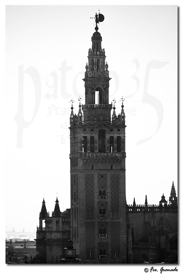 Imágenes de Metropolitana Catedral de Sevilla