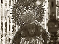 Besamanos Virgen de las Angustias Hdad. Esperanza