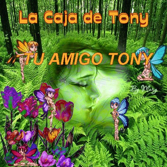 LA CAJA DE TONY