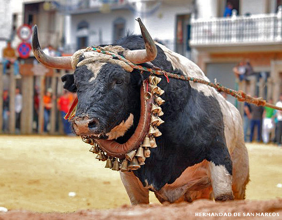 Sanchez Cobaleda