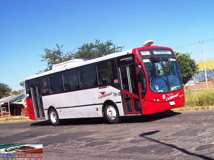 Línea Cardenal 1ra Busscar Urbanuss Pluss   R-709