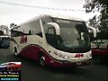 Autobuses De Oriente MP 1200   M&Eacute;XICO DF