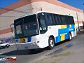 Autobuses Azules y Triangulo MP Allegro L&Eacute;ON