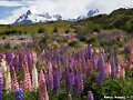 Parque Torres del Paine (Chile)