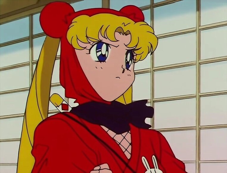 100% Sailor Moon