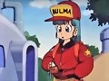 100% Bulma