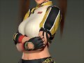 Lei Fang (Dead or Alive)