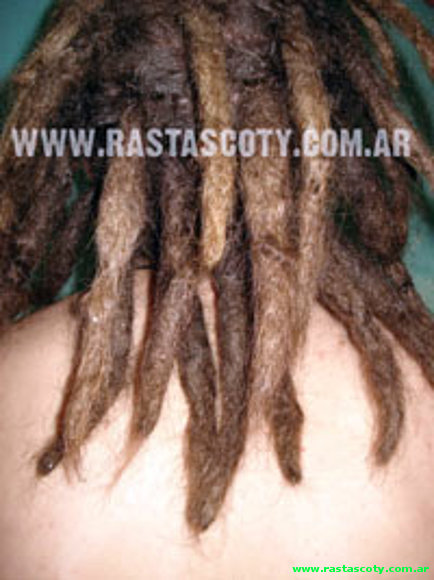 dreadlocks to fix dreads reggae picture,photos