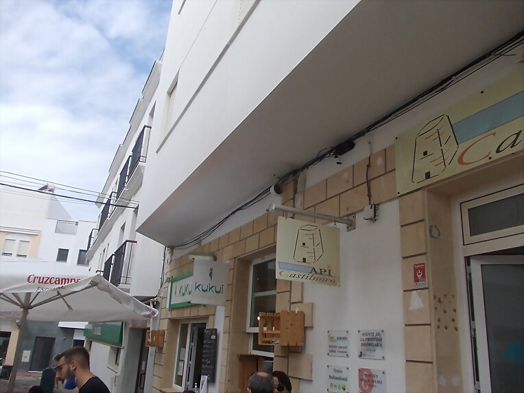 Viaje a Conil X