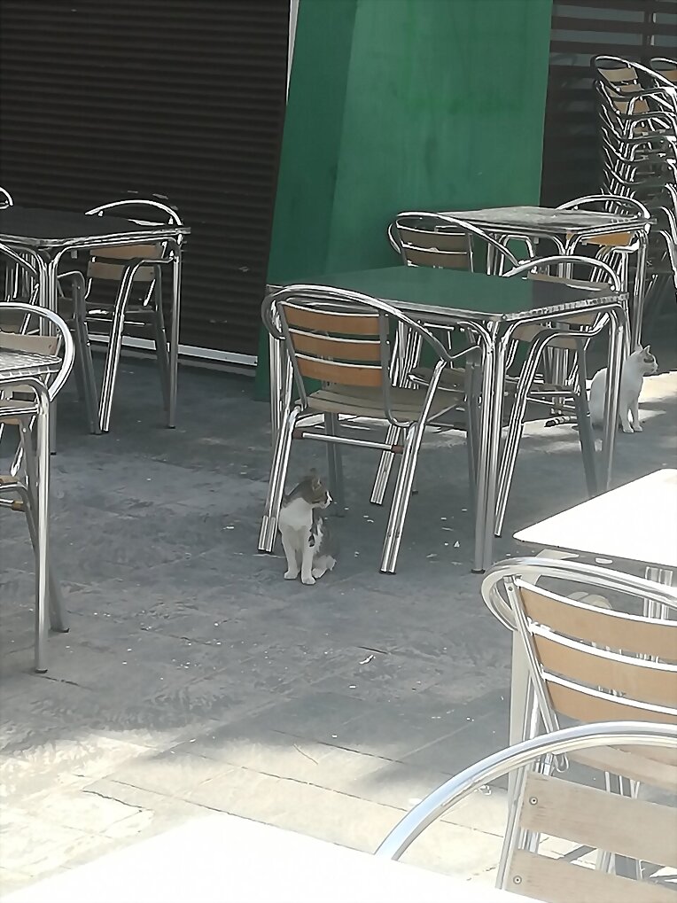 En Nuevo Portil con la familia XI