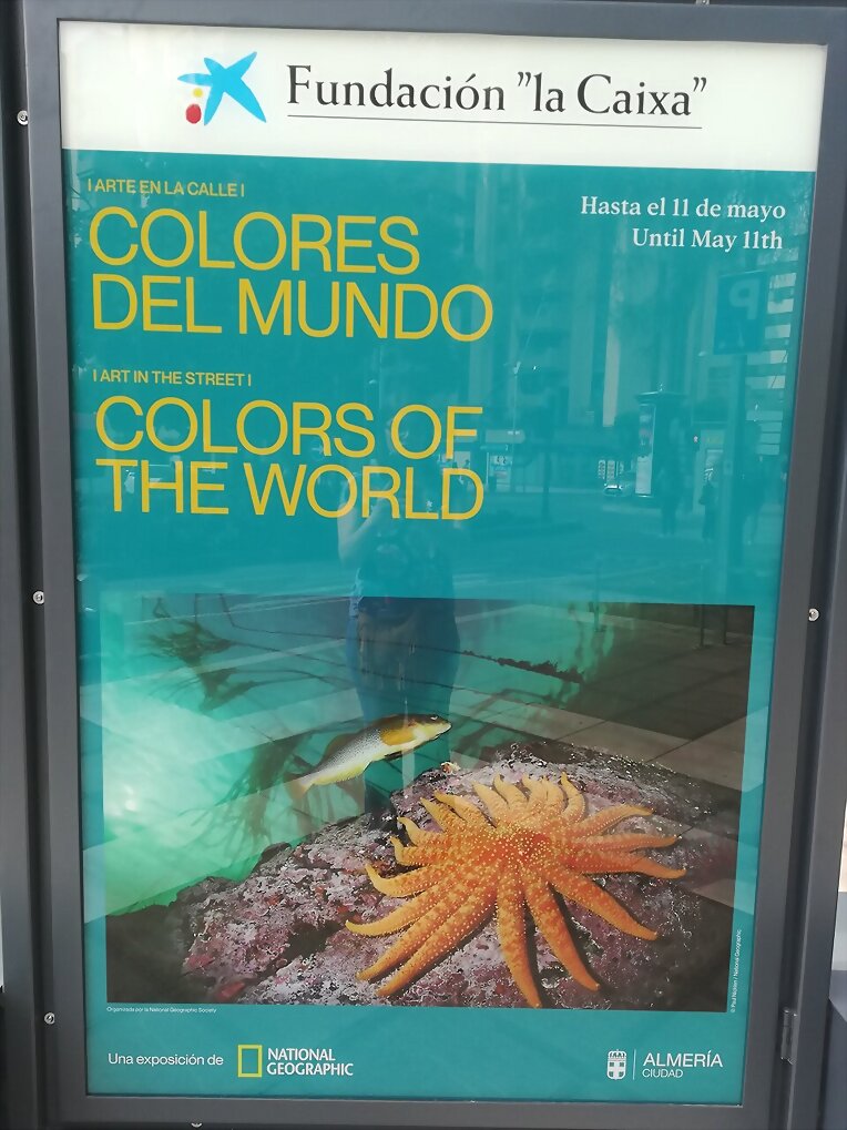Cruces de Mayo de Almería 2023 VI