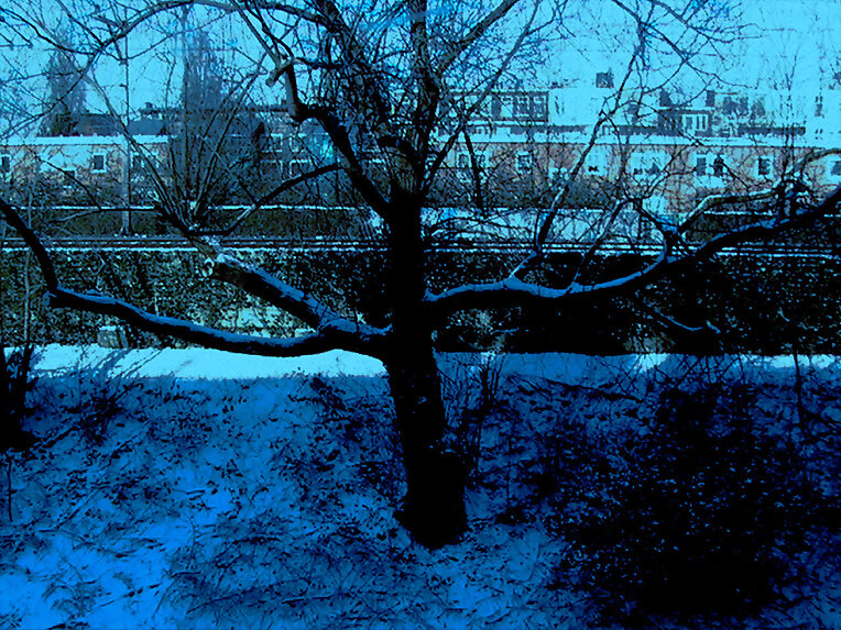 La sonrisa del árbol persiste aún con la nevada