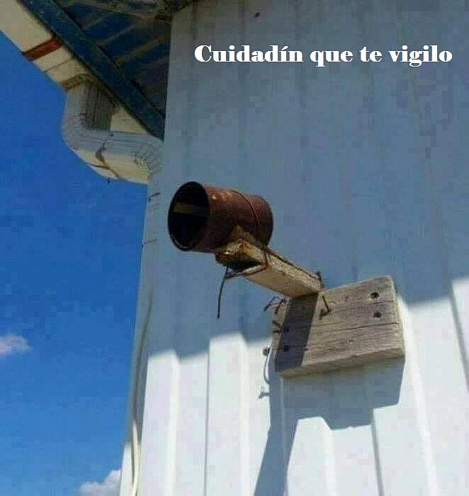 Vigilancia