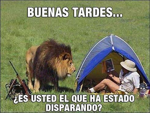 Buena es usted