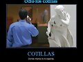 cotillas