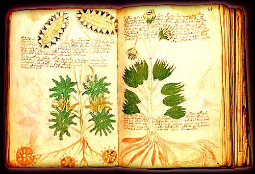 El Manuscrito de Voynich
