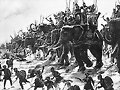 Elefantes como arma de guerra