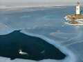 Beluga exconvicta