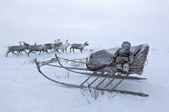 Nenets, los nómadas del frío