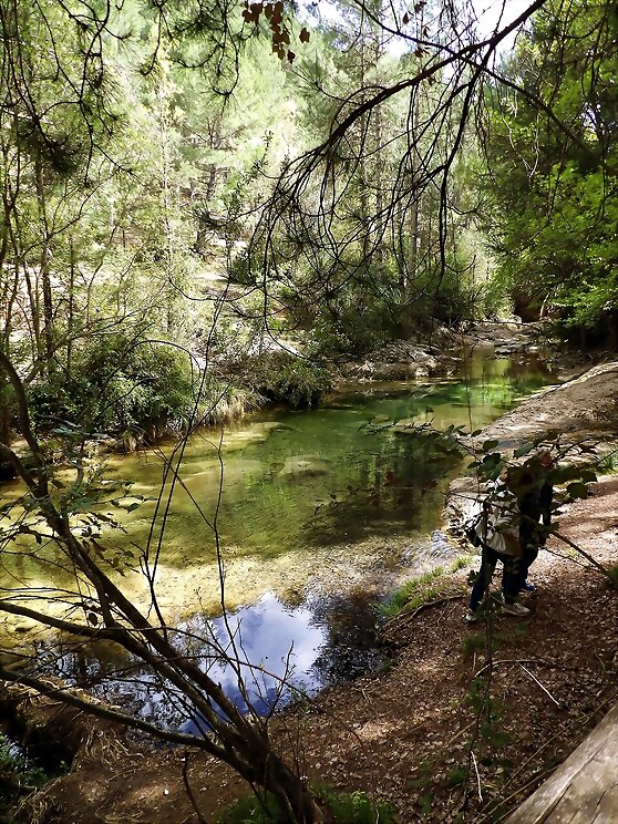 Sierras de Cazorla, Segura y Las Villas