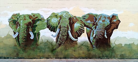 Arte urbano: El paso de los elefantes