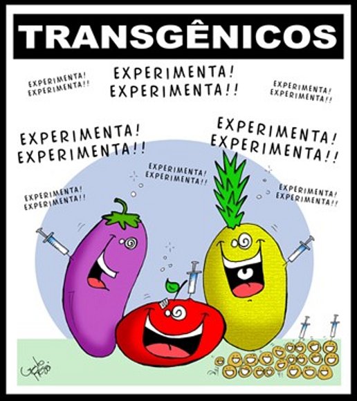 Transgénicos