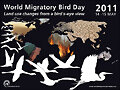 D&iacute;a Mundial de las Aves Migratorias