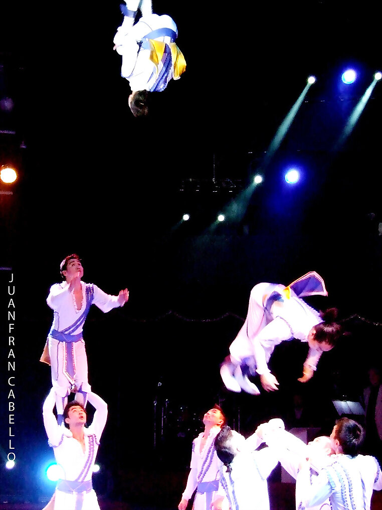 Troupe Zola  Basculay  Volteo acrobatico (Mongolia