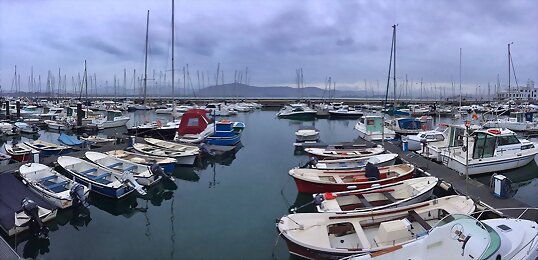 Martes, así amanecía, nublado. Ahora SOL!!!!!