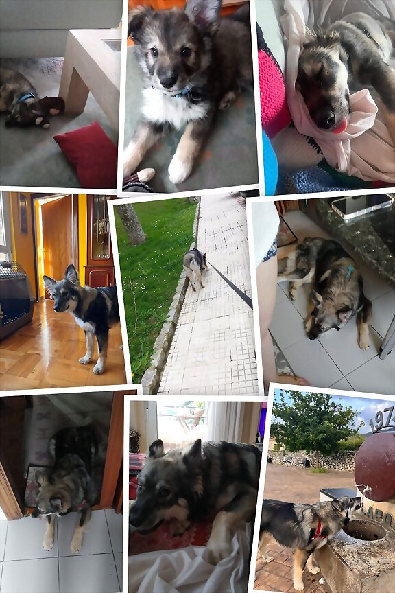 🥰TANGO