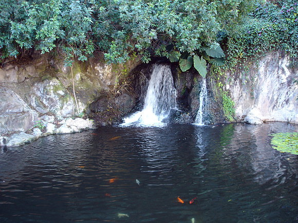 ISLA DE TENERIFE