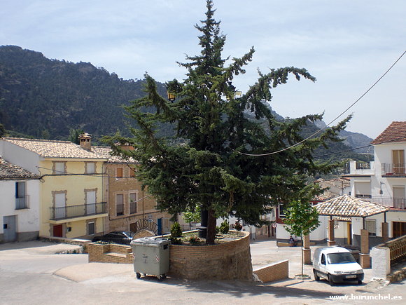 LUZMA15