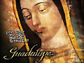 Nuestra Se&ntilde;ora de Guadalupe (historia 11)