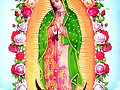 Nuestra Se&ntilde;ora de Guadalupe (historia 24)