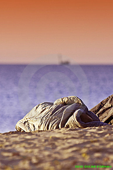PERSON SLEEPING ON BEACH