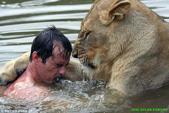 Bañandose con su amigo el león!