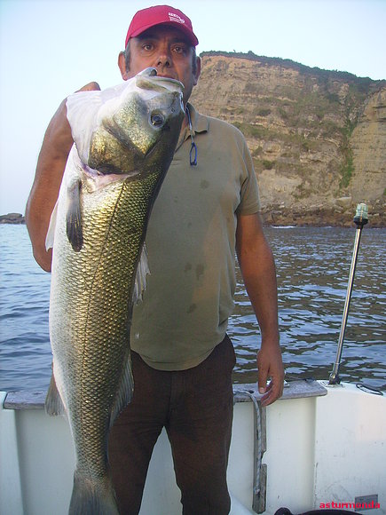 lubina xxl pescada el 3,9,2010