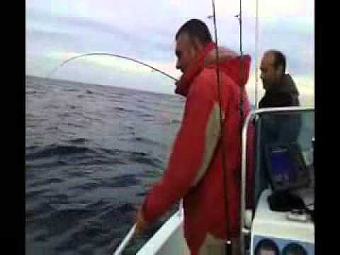 8,11,2011 pescando calamares