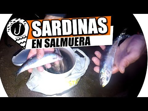 sardina en salmuera