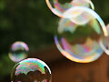 Asadas Bubbles :3