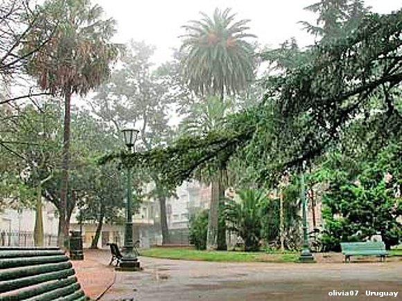 Plaza Zabala