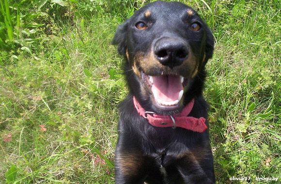 UPA SONRIENDO A LA CAMARA
