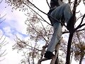 HECTOR PODANDO EL PARAISO