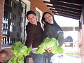 siguen las porristas